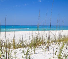 destin beach florida newsletter